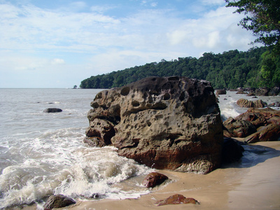 海岸婆罗洲景观。