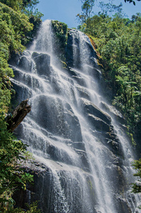 在 Itatiaia 公园森林瀑布的视图