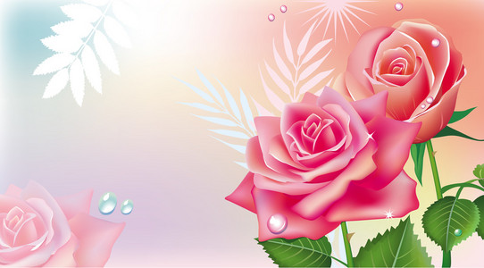 粉红玫瑰卡片