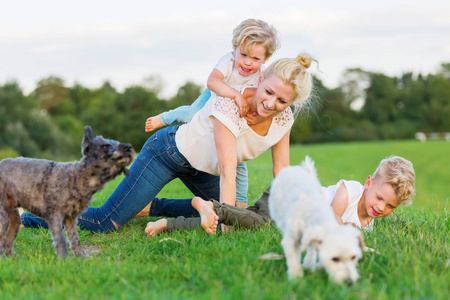 女人在草地上嬉闹玩耍与她的两个儿子和两只狗