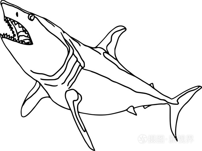 3d鲨鱼怎么画远古图片