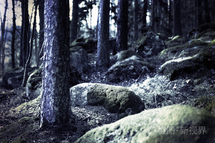 令人毛骨悚然的黑暗森林