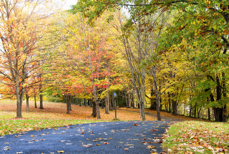 在佛蒙特州，新英格兰的秋景