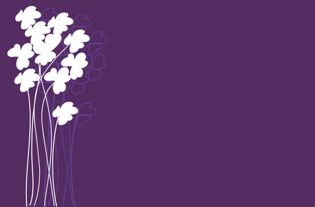 白三叶草花紫色背景