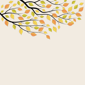 秋季用黄色树叶背景
