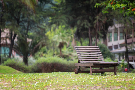 花园绿色草坪上的空木凳