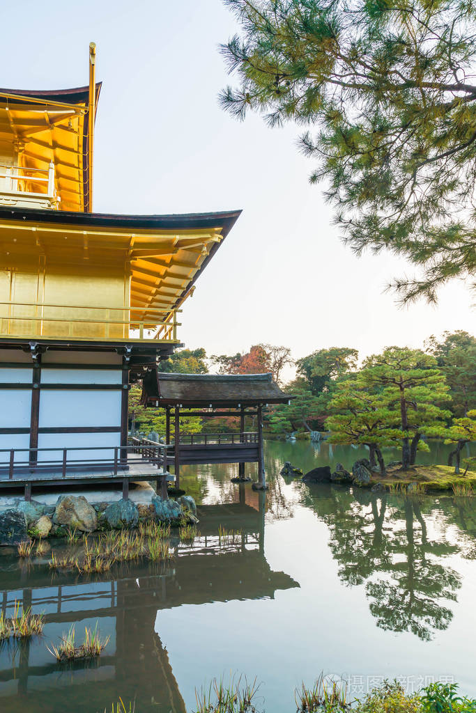 金阁寺美丽的建筑金阁