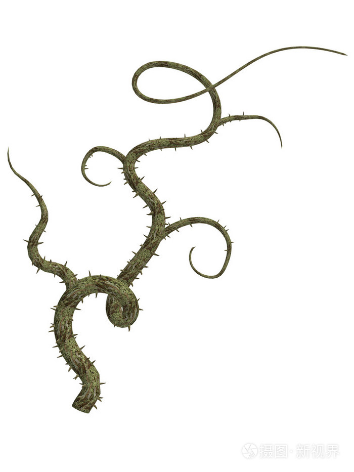 3068*4090px发票合同问题/丛林荒野植物灌木丛灌木林荆棘灌木查看作者