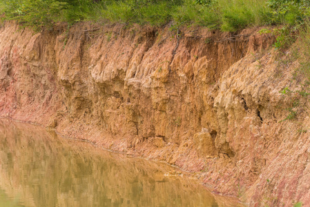 由于树木由于水土流失照片