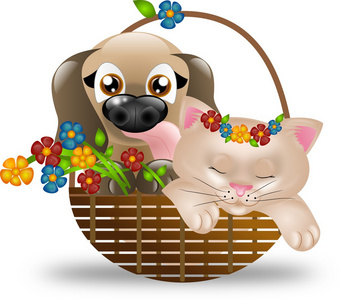 小狗和小猫在篮子里的花图片