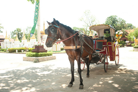 马车在泰国北部南邦府市