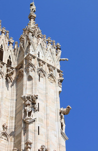 米兰大教堂的哥特式尖塔图片
