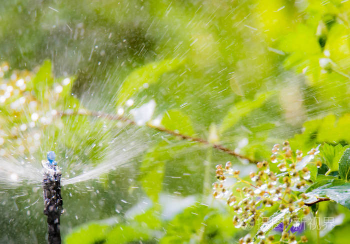 园林灌溉自动浇水系统