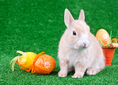 复活节装饰 兔和鸡蛋