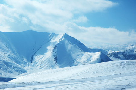 高山雪下