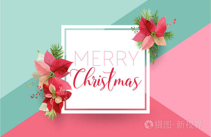 圣诞冬季一品红花矢量旗帜 图形背景 花12 月邀请 传单或卡片现代头版插画 正版商用图片00vwbg 摄图新视界 圣诞冬季一品红花矢量旗帜 图形背景 花12 月邀请 传单或卡片现代头版插画 正版商用图片00vwbg 摄图新视界