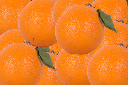 背景橙子