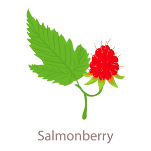 Salmonberry 图标，等距 3d 风格