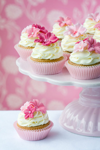 纸杯蛋糕 cupcake的名词复数  经常用于称呼语中指有魅力的女人 指软弱和女性化的男人或男孩