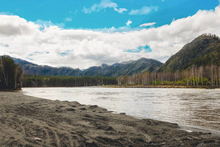 山区河流在夏天，阿尔泰山，俄罗斯的美丽景色