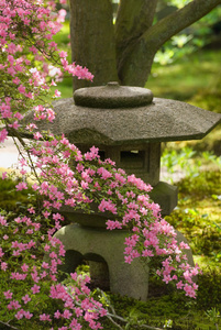 日本花园灯笼图片