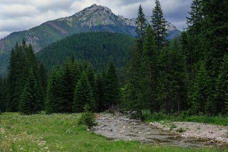 美丽的河，在 Tatra 山地，波兰的多 Chocholowska