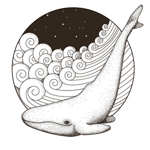 海浪矢量图鲸鱼在海浪上.海洋的插图.手绘海浪轮架.矢量图照片