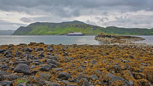 Portree 湾与艾斯摩尔胰岛中的前景和多彩多姿的海滨，斯凯，高地，苏格兰，英国