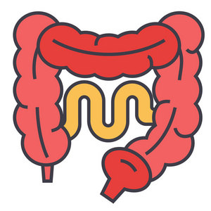结肠概念图肠道的概念.线矢量图标.可编辑的中风.