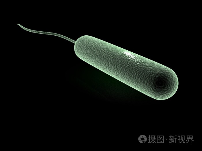 2250px发票合同问题/细菌微生物病毒病原查看作者其他作品查看更多>大