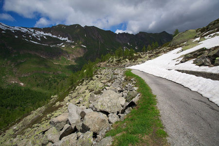 瑞士道路阿尔卑斯山