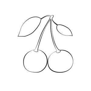 白色的樱花剪影和叶具黑色描边.平面设计.矢量照片