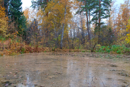 沼泽地区沼泽,泥塘 沼泽地区  英口>户外厕所照片