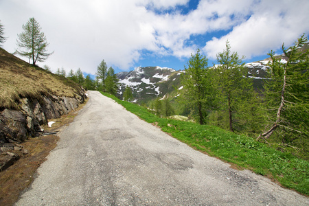 瑞士道路阿尔卑斯山