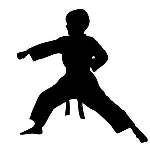 武术男童空手拳图片