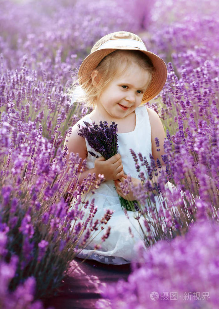 小女孩在薰衣草花田