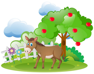 驴和苹果的树在农场
