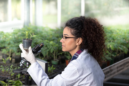 生物学家控股壶与新芽