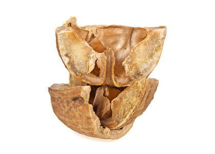 白色背景下分离的核桃壳