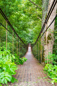 悬索桥索，渡河，渡根治渡运在树林里。俄罗斯克拉斯诺达尔地区 Adygea 共和国