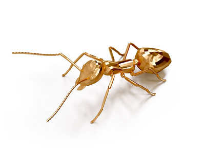 蚂蚁的 3d 插图