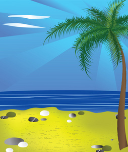 海滩和棕榈树的形象