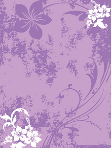 紫色的粗花纹