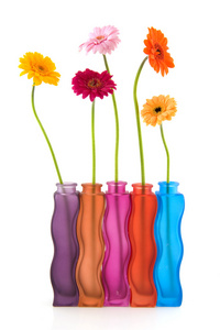 五颜六色的花和花瓶