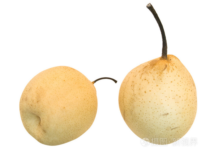 梨(树)( pear的名词复数 )照片-正版商用图片00xyso-摄图新视界