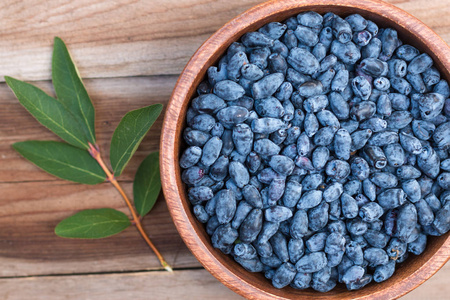 haskap 收获浆果, 蓝靛,还索 honeyb照片