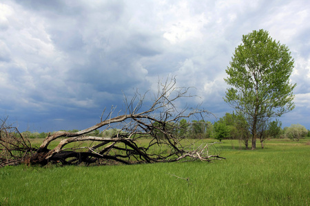 生死生死攸关照片