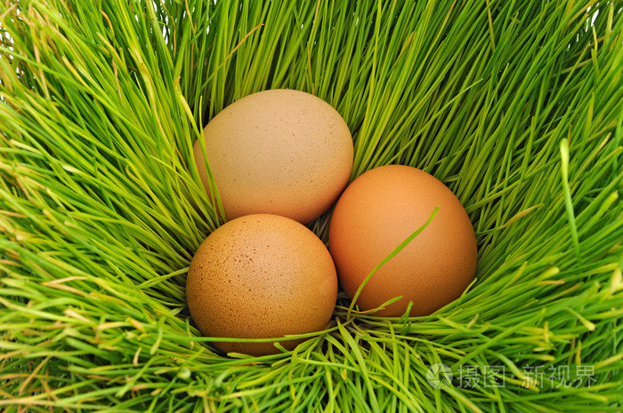 绿色草地上的鸡蛋
