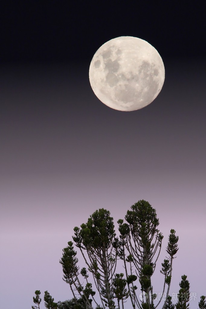 满月 望月 盈月 月轮