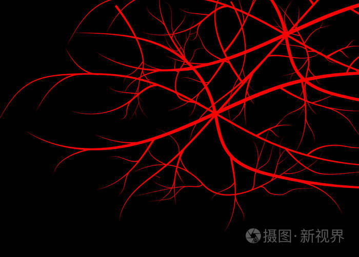 在黑色背景上血管静脉红色